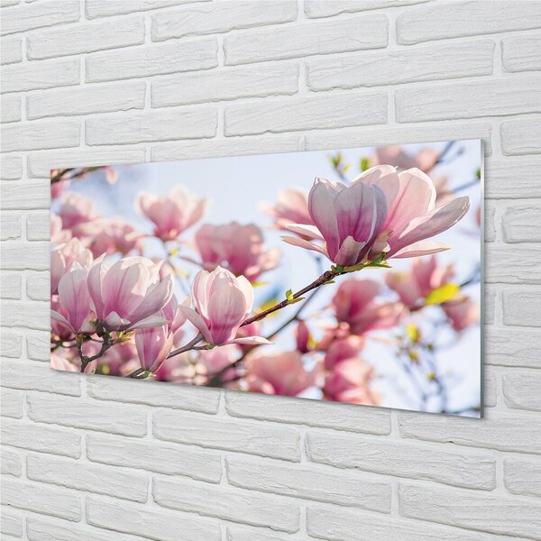 Quadro di vetro Magnolia 100x50 cm 2 appendini