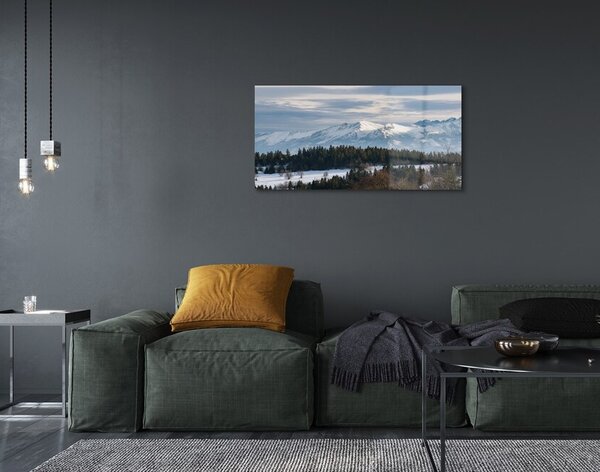 Quadro su vetro Montagne neve invernale 100x50 cm 2 appendini