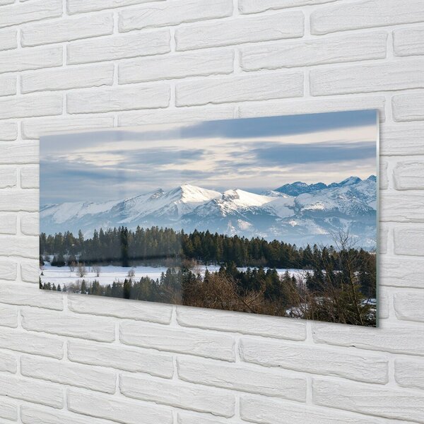 Quadro su vetro Montagne neve invernale 100x50 cm 2 appendini