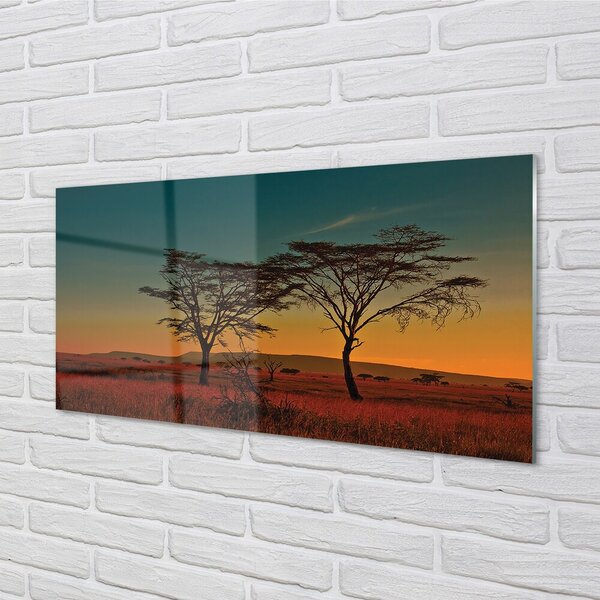 Quadro in vetro Albero cielo 100x50 cm 2 appendini
