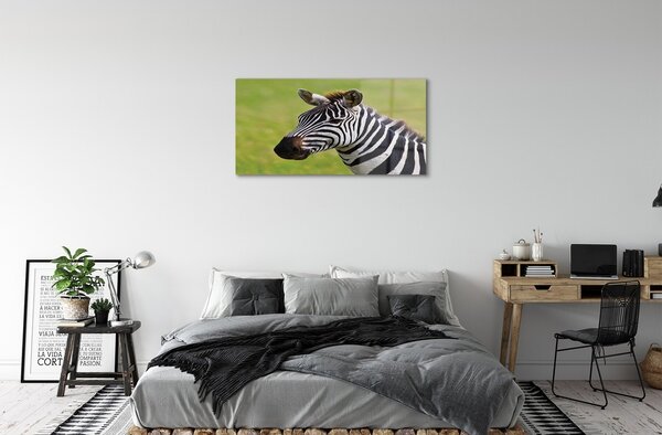 Quadro vetro Zebra 100x50 cm 2 appendini