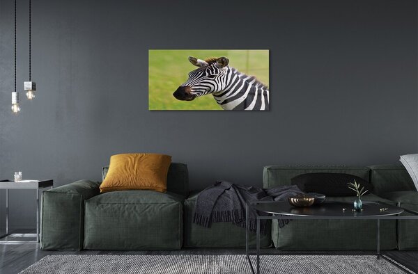 Quadro vetro Zebra 100x50 cm 2 appendini