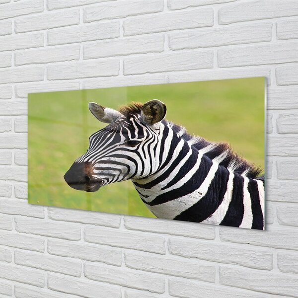Quadro vetro Zebra 100x50 cm 2 appendini