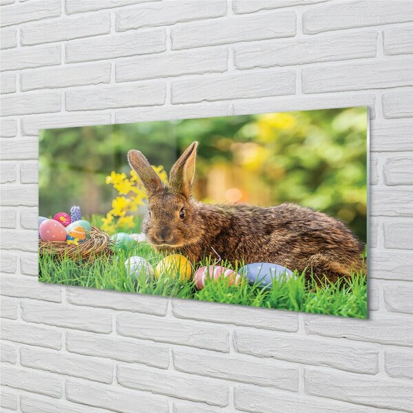 Quadro in vetro Uova di coniglio prato 100x50 cm 2 appendini