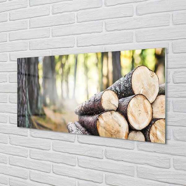 Quadro vetro Bosco natura foresta 100x50 cm 2 appendini