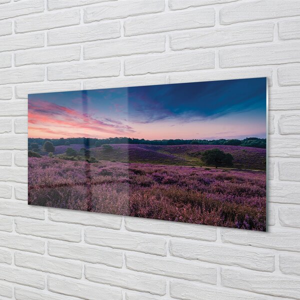 Quadro in vetro Campo di heather 100x50 cm 2 appendini