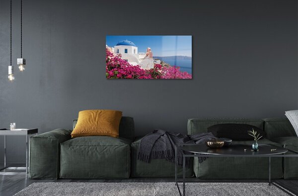Quadro su vetro Grecia fiori mare edifici 100x50 cm 2 appendini