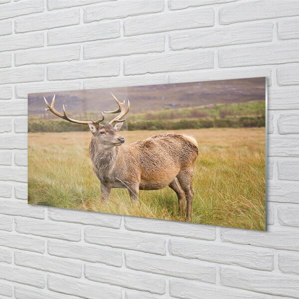 Quadro vetro Deerfield 100x50 cm 2 appendini