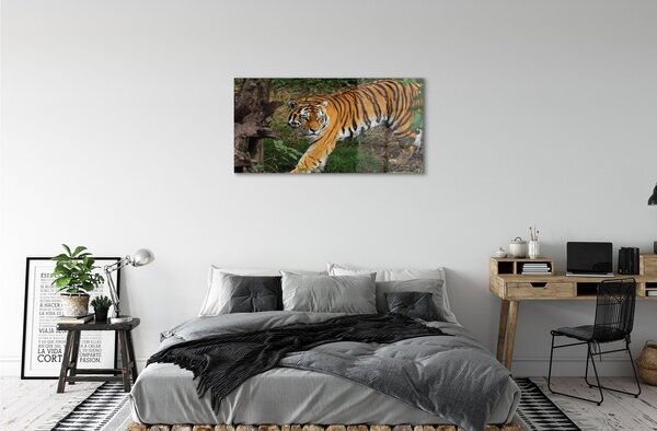 Quadro di vetro Foresta delle tigri 100x50 cm 2 appendini