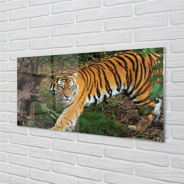 Quadro di vetro Foresta delle tigri 100x50 cm 2 appendini