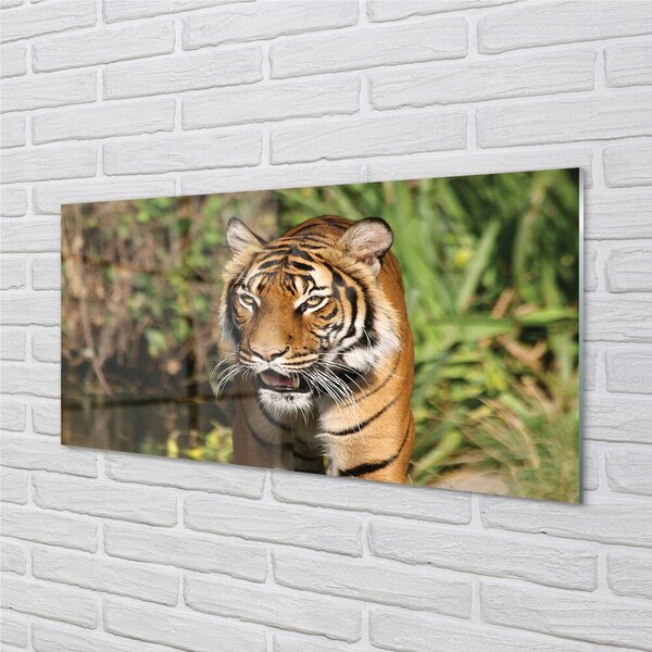 Quadro vetro Foresta delle tigri 100x50 cm 2 appendini