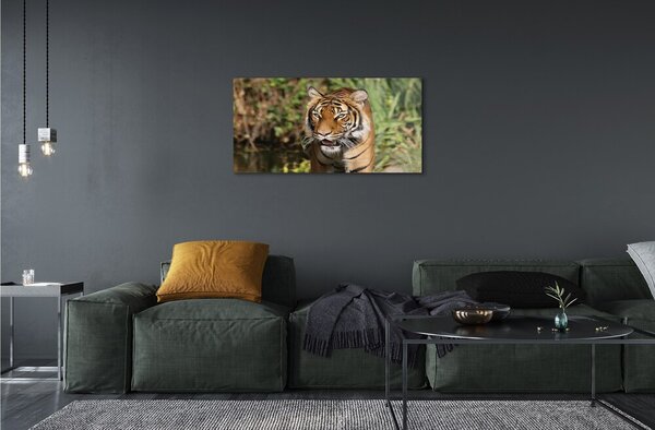 Quadro vetro Foresta delle tigri 100x50 cm 2 appendini