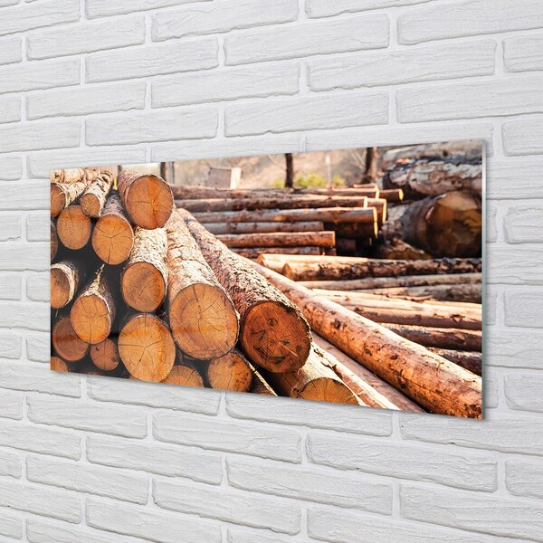 Quadro di vetro Tronchi di composizione del legno 100x50 cm 2 appendini