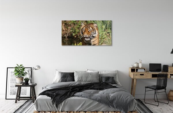 Quadro vetro Foresta delle tigri 100x50 cm 2 appendini