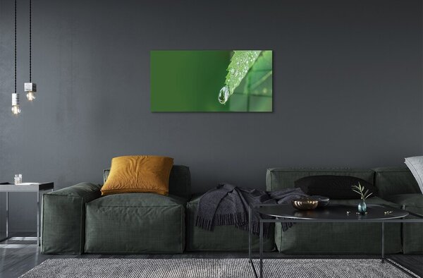 Quadro in vetro Foglia d'acqua a goccia 100x50 cm 2 appendini