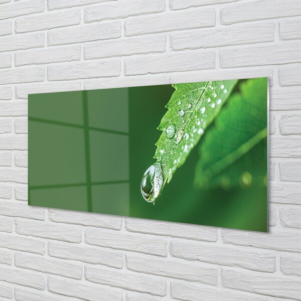 Quadro in vetro Foglia d'acqua a goccia 100x50 cm 2 appendini