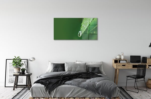 Quadro in vetro Foglia d'acqua a goccia 100x50 cm 2 appendini