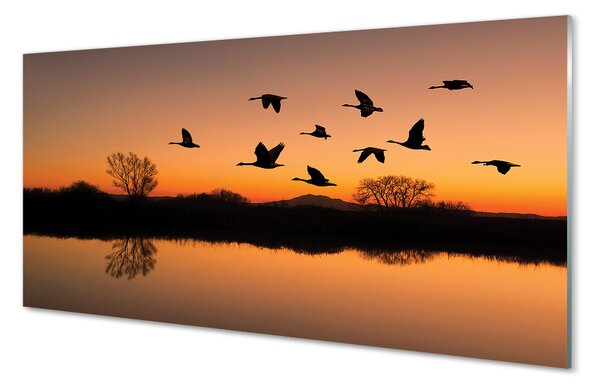 Quadro in vetro Uccelli volanti al tramonto 100x50 cm 2 appendini