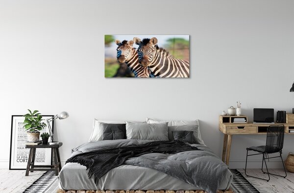 Quadro in vetro Zebre 100x50 cm 2 appendini