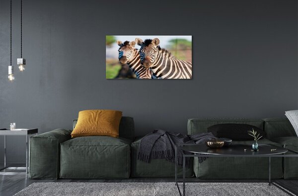 Quadro in vetro Zebre 100x50 cm 2 appendini