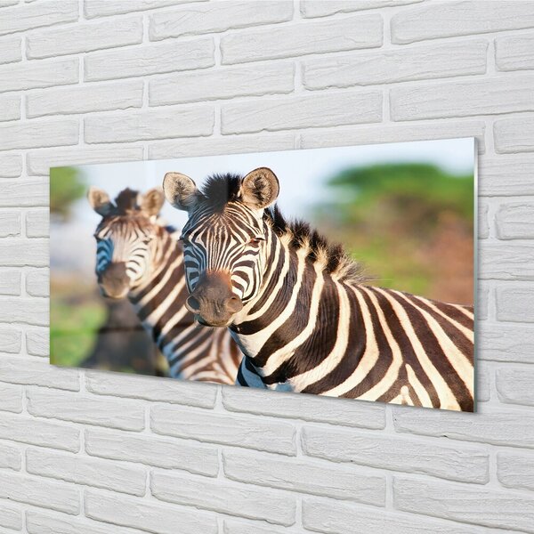 Quadro in vetro Zebre 100x50 cm 2 appendini