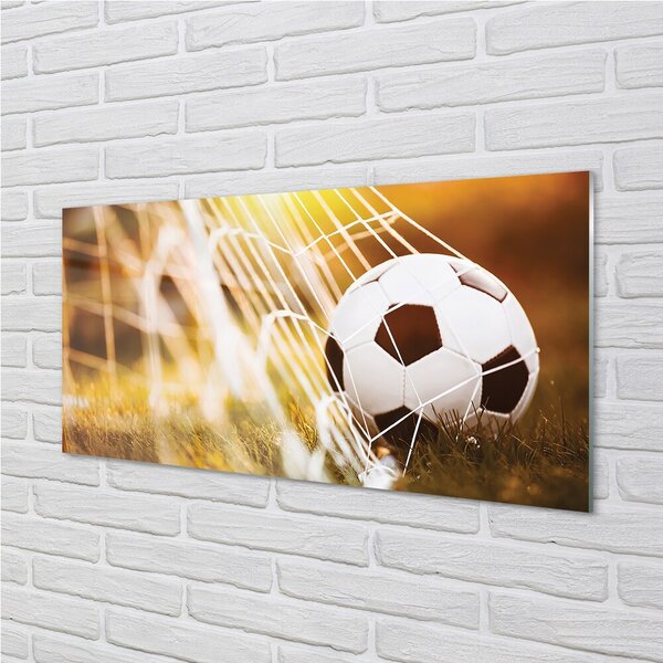 Quadro in vetro Pallone giallo sfondo erba 100x50 cm