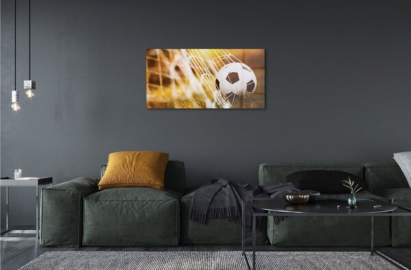 Quadro in vetro Pallone giallo sfondo erba 100x50 cm