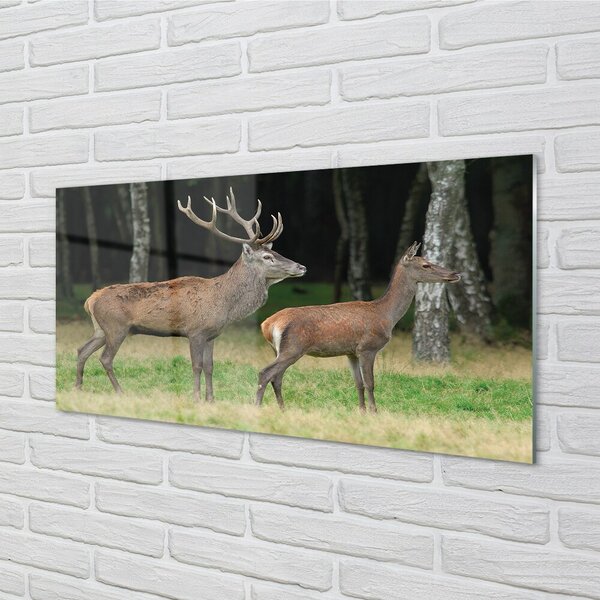 Quadro di vetro Foresta di cervi 100x50 cm 2 appendini