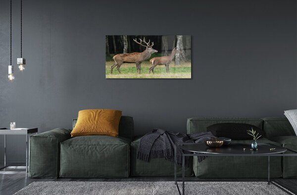 Quadro di vetro Foresta di cervi 100x50 cm 2 appendini