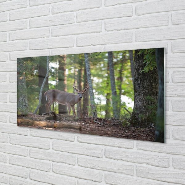 Quadro di vetro Foresta di cervi 100x50 cm 2 appendini