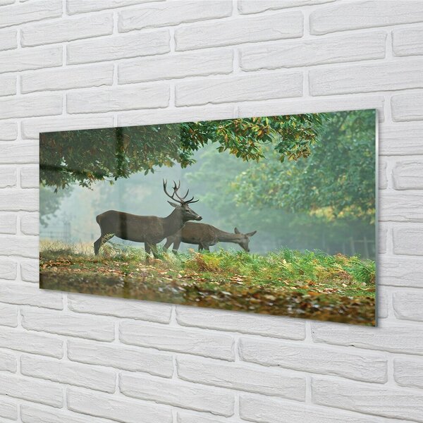 Quadro in vetro Cervo foresta autunno 100x50 cm 2 appendini