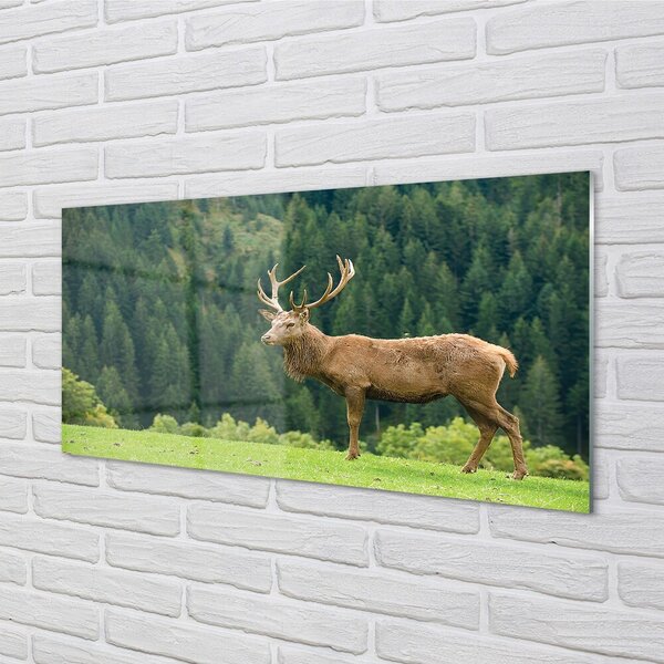 Quadro su vetro Cervi nel campo 100x50 cm 2 appendini