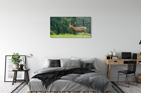 Quadro su vetro Cervi nel campo 100x50 cm 2 appendini