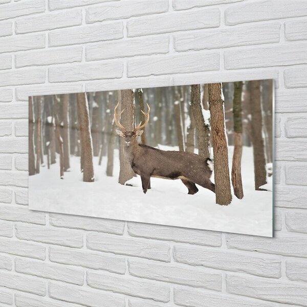 Quadro in vetro Cervo foresta invernale 100x50 cm 2 appendini