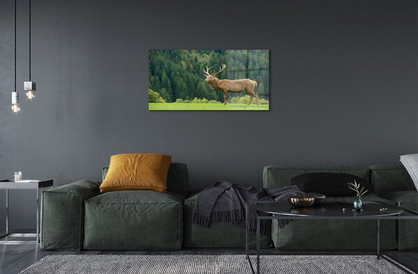 Quadro su vetro Cervi nel campo 100x50 cm 2 appendini