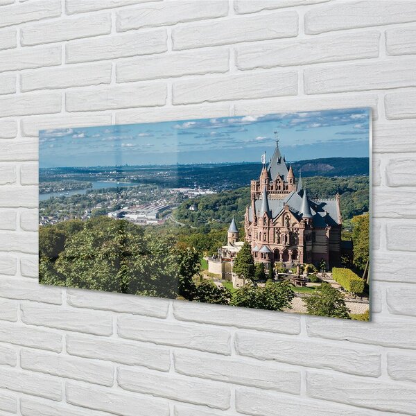 Quadro di vetro Germania castello panoramico della città 100x50 cm 2 appendini