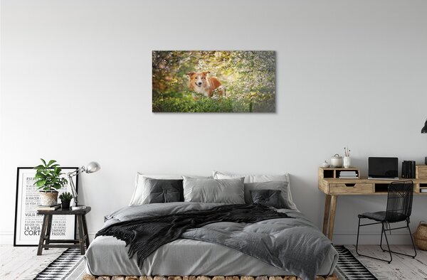 Quadro di vetro Fiori di bosco per cani 100x50 cm 2 appendini