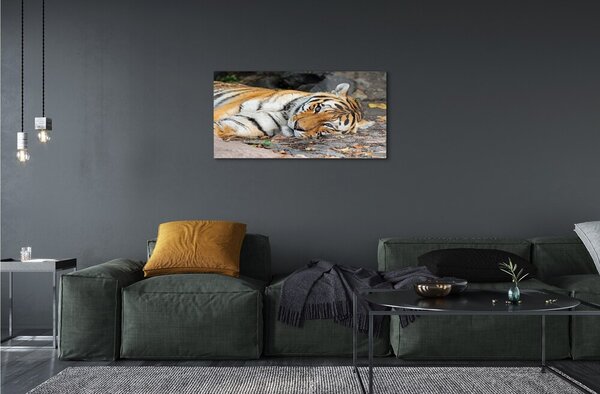 Quadro in vetro Tigre bugiarda 100x50 cm 2 appendini