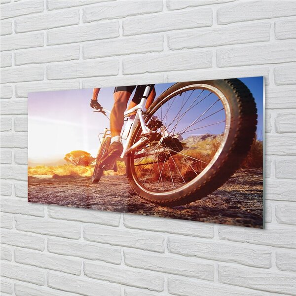 Quadro in vetro Bicicletta strada di montagna ovest 100x50 cm 2 appendini