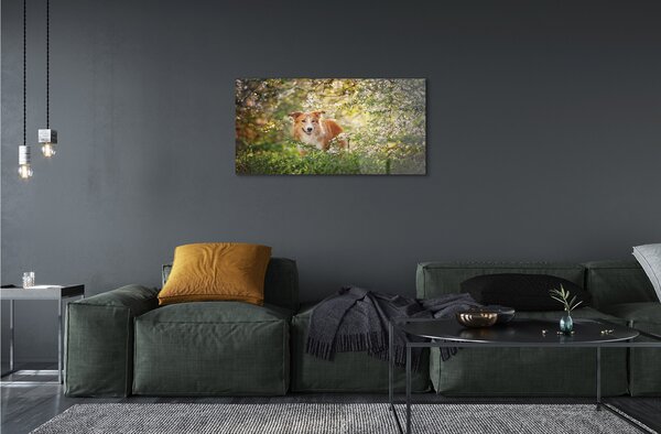 Quadro di vetro Fiori di bosco per cani 100x50 cm 2 appendini