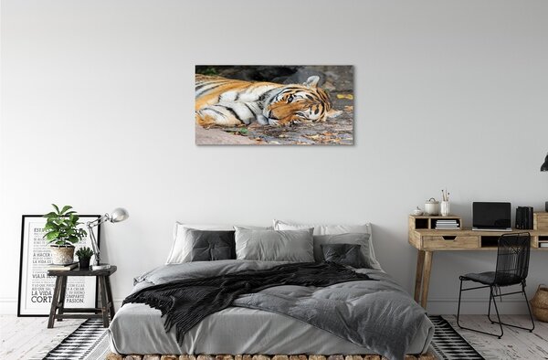 Quadro in vetro Tigre bugiarda 100x50 cm 2 appendini