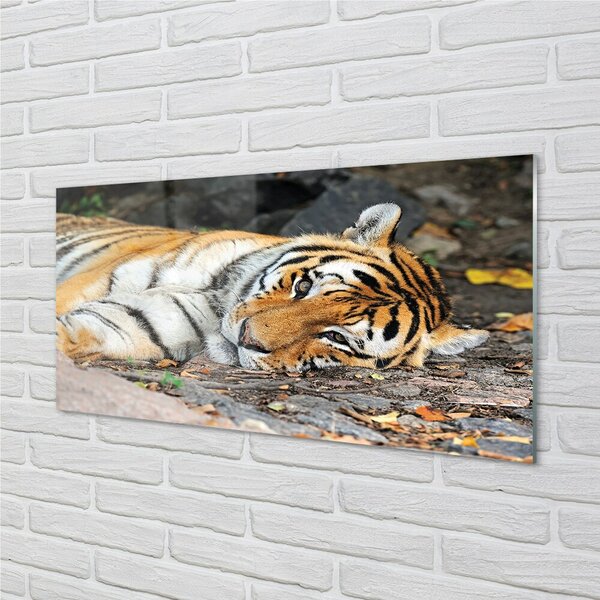 Quadro in vetro Tigre bugiarda 100x50 cm 2 appendini
