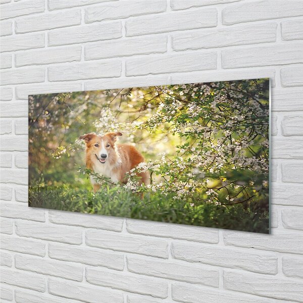 Quadro di vetro Fiori di bosco per cani 100x50 cm 2 appendini