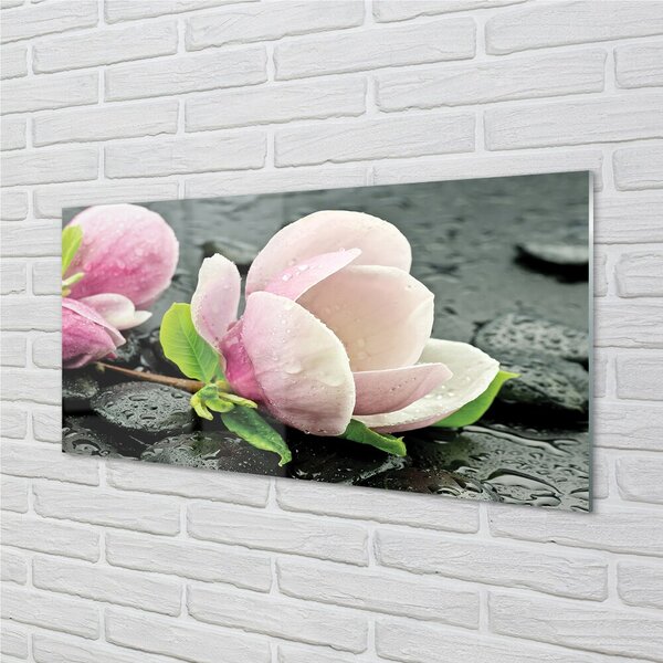 Quadro di vetro Pietre di magnolia 100x50 cm 2 appendini