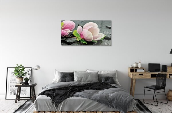 Quadro di vetro Pietre di magnolia 100x50 cm 2 appendini
