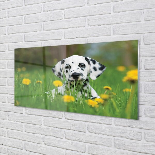 Quadro su vetro Cane da prato 100x50 cm 2 appendini