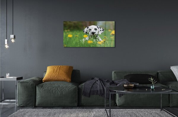 Quadro su vetro Cane da prato 100x50 cm 2 appendini