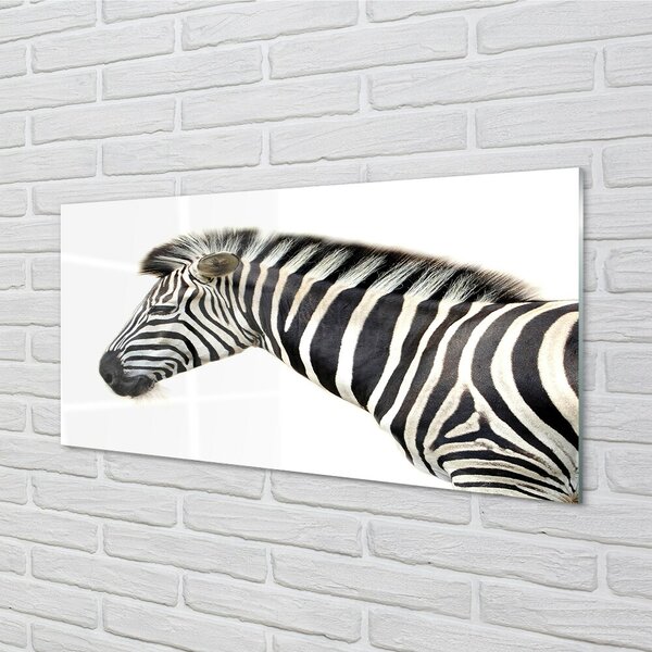 Quadro di vetro Zebra 100x50 cm 2 appendini