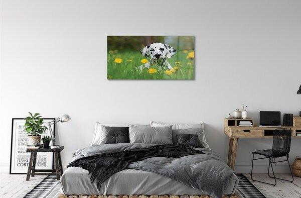 Quadro su vetro Cane da prato 100x50 cm 2 appendini