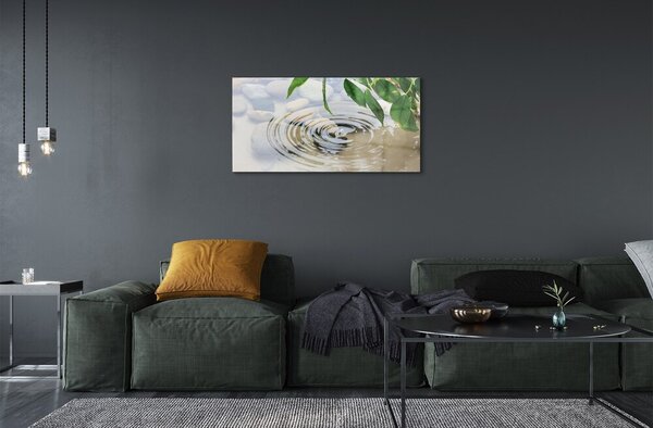 Quadro in vetro Schizzi d'acqua 100x50 cm 2 appendini